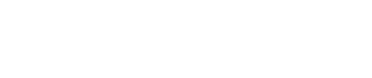 Ziber Support